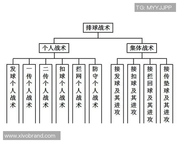 排球战术揭秘：深入分析西安排球队的战术布局与执行策略