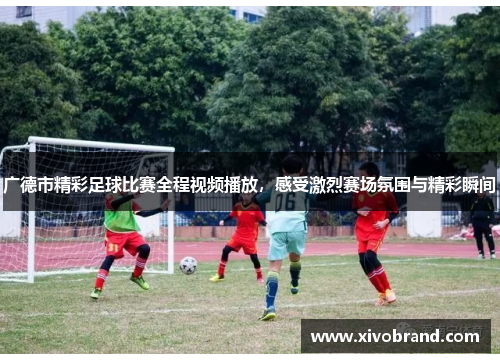 广德市精彩足球比赛全程视频播放，感受激烈赛场氛围与精彩瞬间