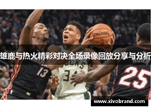 雄鹿与热火精彩对决全场录像回放分享与分析